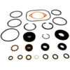Hydro Gear Overhaul Seal Kit OEM #2510073 1 Hydro Gear Overhaul Seal Kit OEM #2510073 -Premium Auto Parts 2510073 1024x1024 1