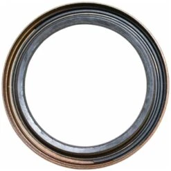 Briggs & Stratton Oil Seal OEM #795387